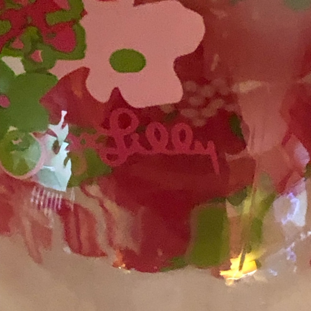 Lilly Pulitzer Acrylic Wine Glasses Set of Two Pink and Green Beach Pool Lake - Picture 4 of 6